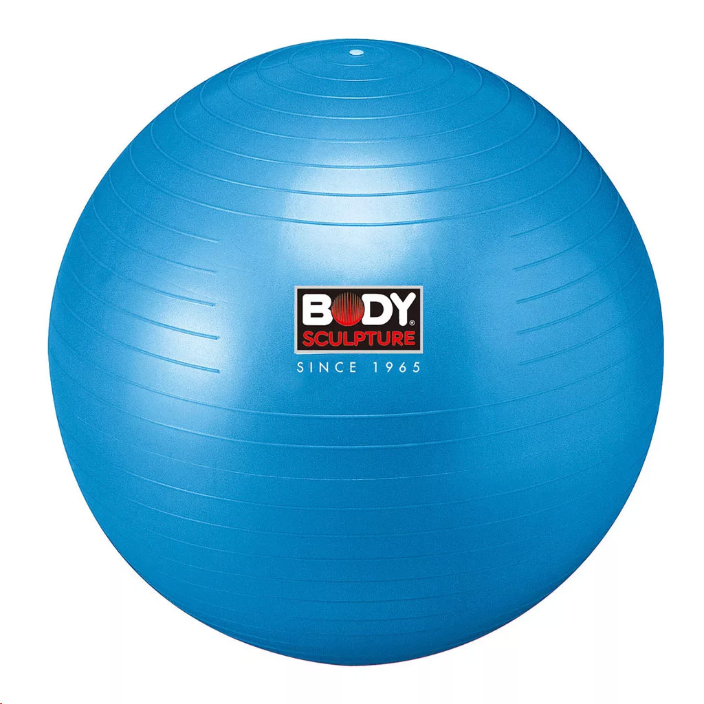 Qualité d excellence Ballon Suisse De Stabilité pour Le Yoga Balles Dexercices Fitness Au Bureau